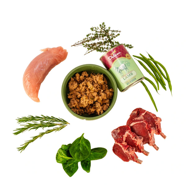 Delcon_Hypoallergene_hondenvoeding_natvoer_lam_600x.webp
